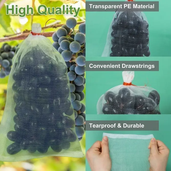 fruit cover8