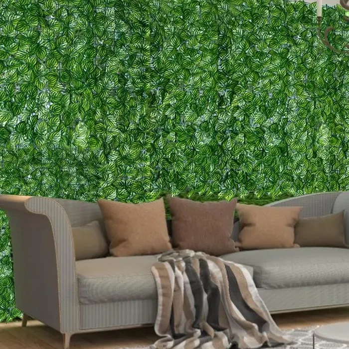 daun4