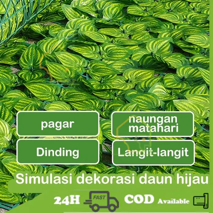 daun6