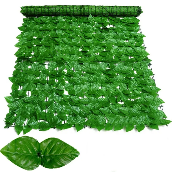 daun8