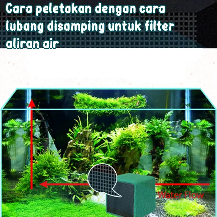 eco4