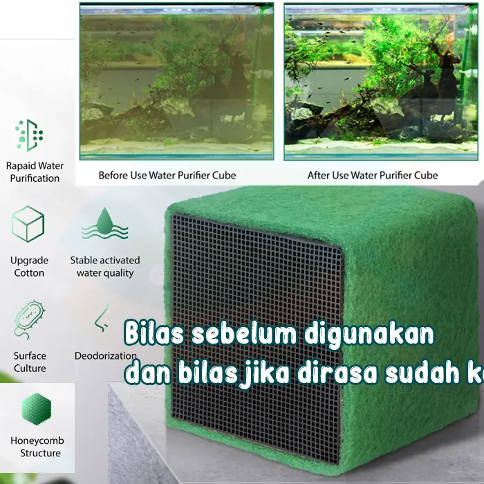 eco7
