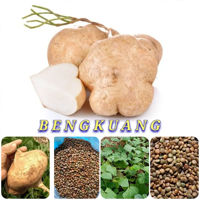 benkoang