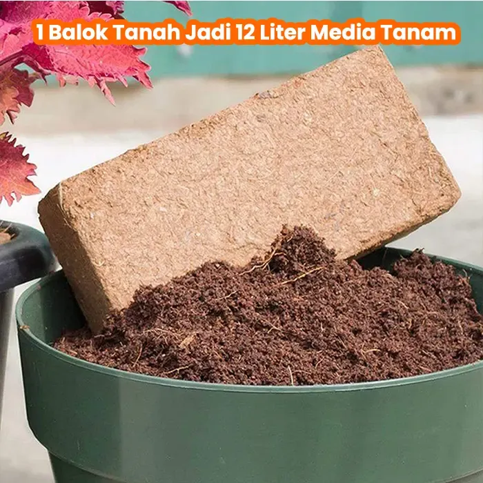 media tanam (2)