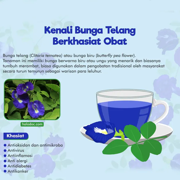 telang